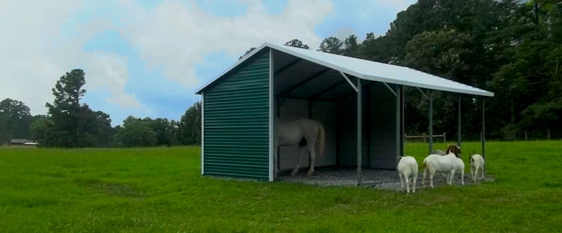 Run in Shelter / Loafing Shed image